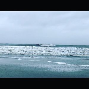 Meet your Posher, Brady